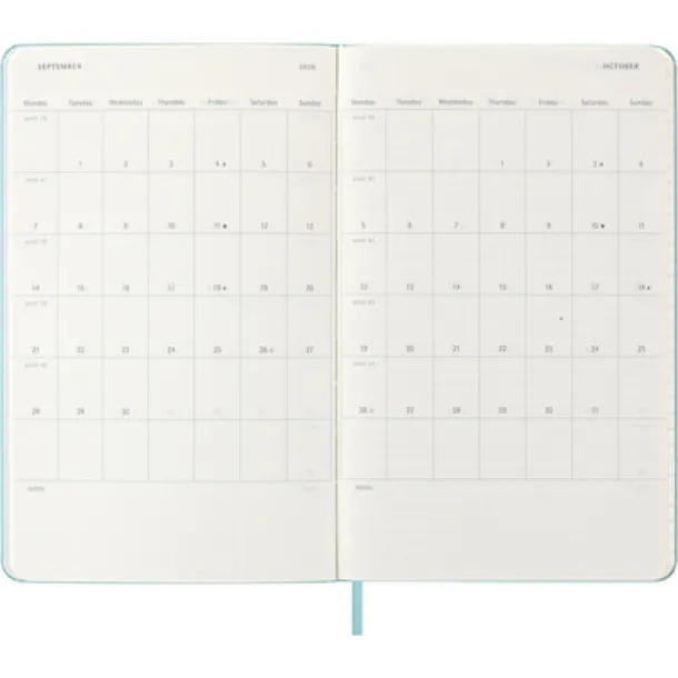  MOLESKINE diary A5 light blue