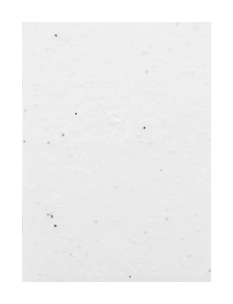 CreaNote A6 Seed custom seed paper notebook White