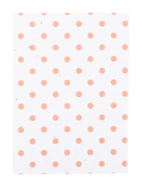 CreaNote A6 Seed custom seed paper notebook White