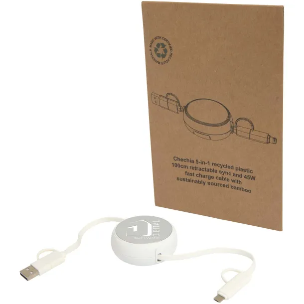 Alasia 5-in-1 100 cm recycled plastic and aluminium retractable data sync and 45W fast charge cable Silver
