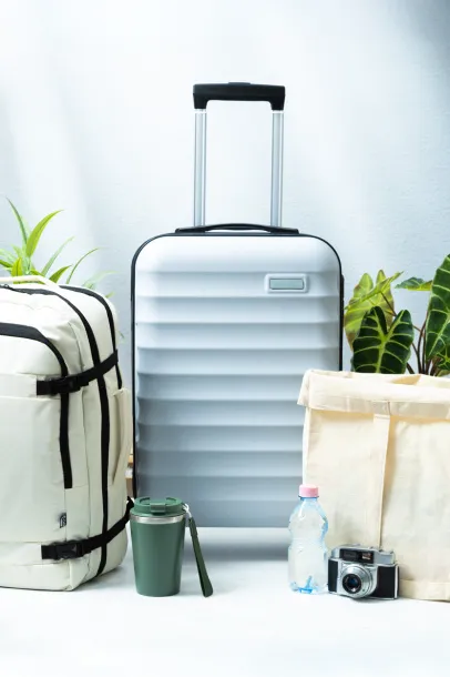 Airmile RPET carry-on luggage Silver