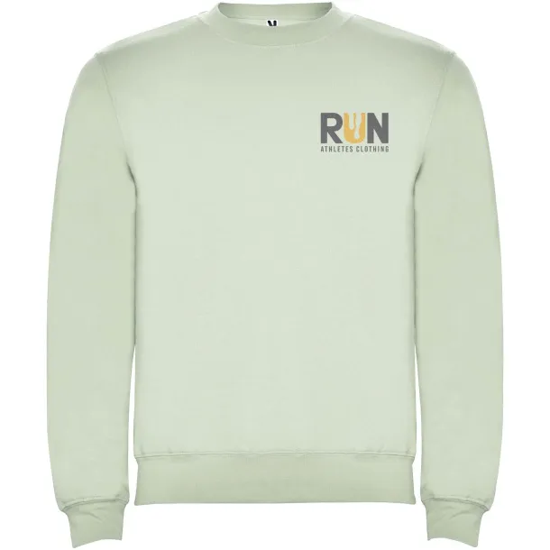 Clasica unisex crewneck sweater - Roly Mist Green