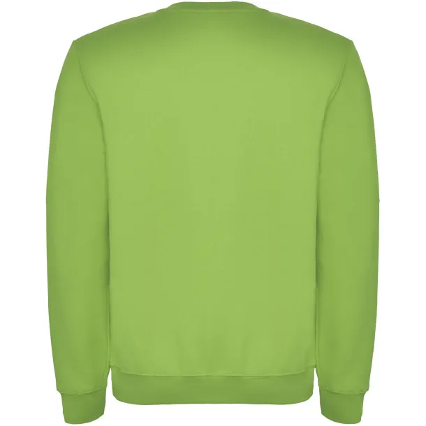 Clasica unisex sportski pulover - Roly Oasis Green