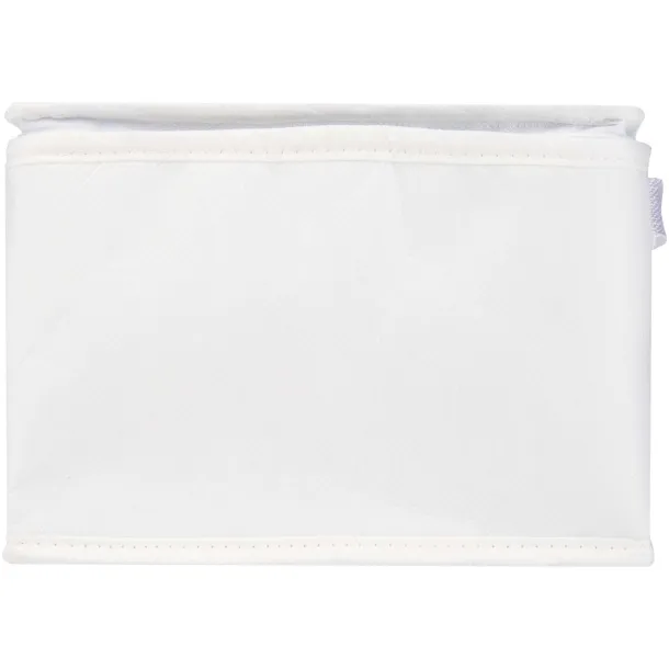 Spectrum 6-can recycled non-woven cooler bag 4L White