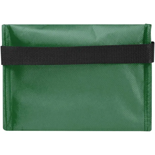 Spectrum 6-can recycled non-woven cooler bag 4L Green