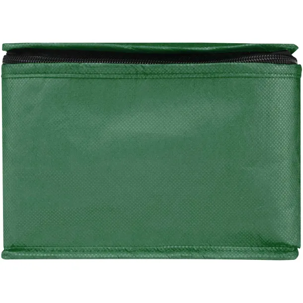 Spectrum 6-can recycled non-woven cooler bag 4L Green