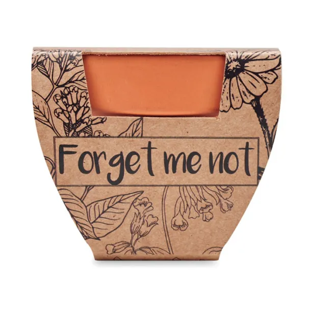 FORGET ME NOT Potočnica u glinenoj posudi Drvo