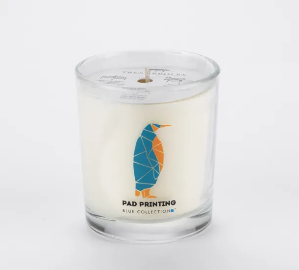  Soybean wax candle 170g - Lemongrass & Ginger - Prozirna