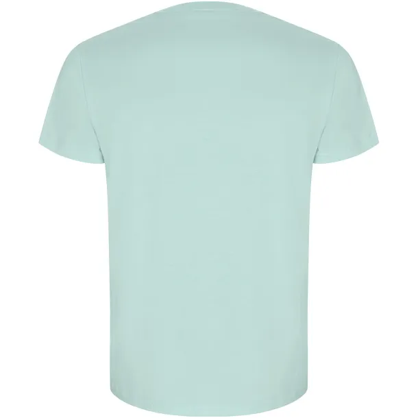 Golden short sleeve men's t-shirt - Roly Mint green