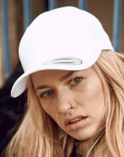  Curved Classic Snapback - Flexfit