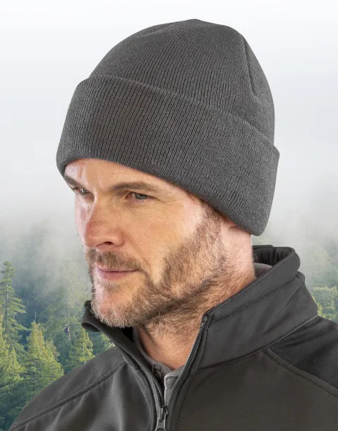  Recycled Thinsulate™ Beanie - Result Recycled