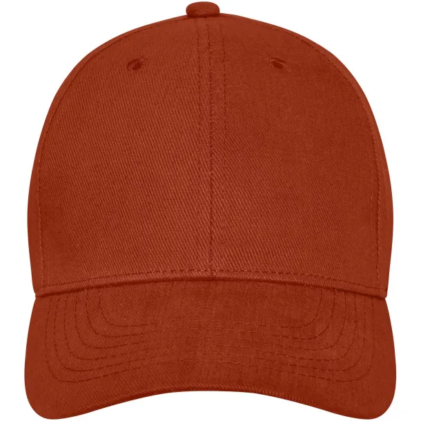 Davis 6 panel cap - Elevate Life Brick