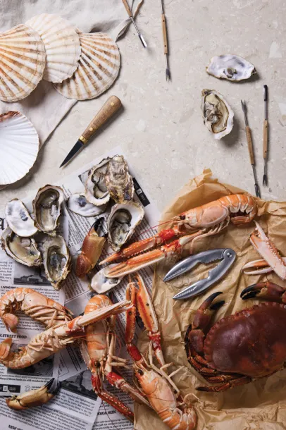 VINGA Story of seafood - Vinga grey 