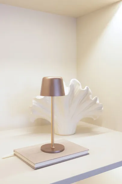 Zenic RCS recycled plastic USB re-chargable table lamp - XD Collection brown 