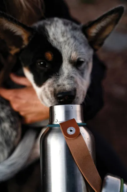 Black+Blum Insulated Water Bottle Small 500ml - Black & Blum turquoise 