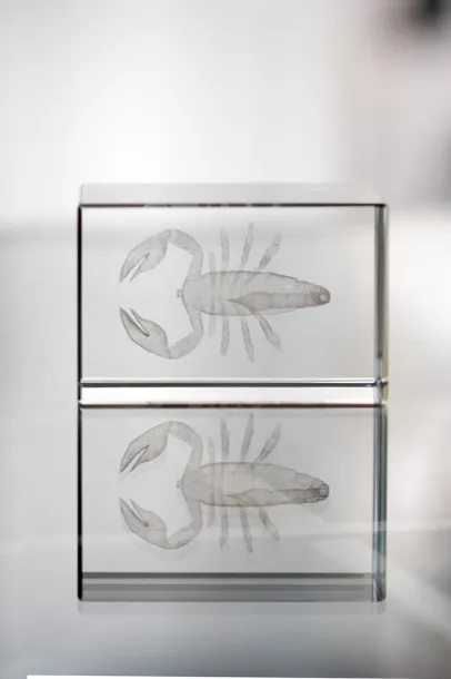 Macon glass block Transparent