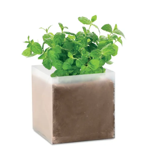 MINT Compost with seeds "MINT" Beige