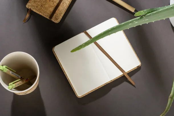 CORA Notebook  A6 Prirodna