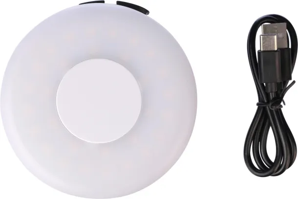 Hadrian ABS light