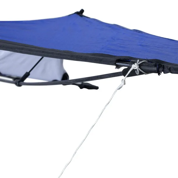 Lirien Polyester (210T) delta kite