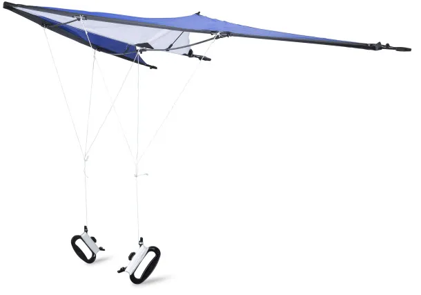 Lirien Polyester (210T) delta kite
