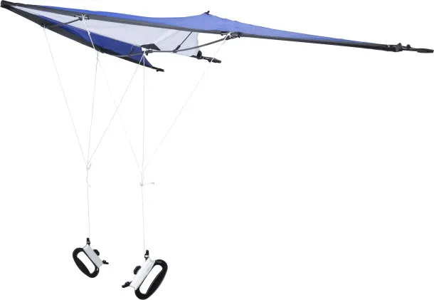 Lirien Polyester (210T) delta kite