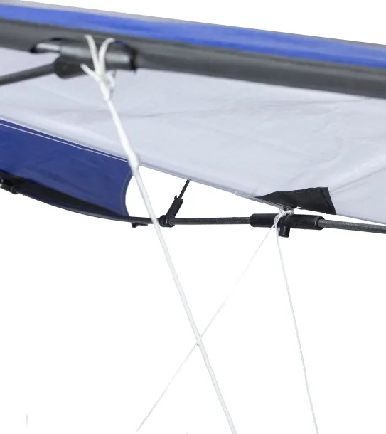 Lirien Polyester (210T) delta kite