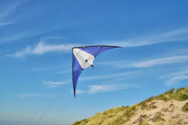 Lirien Polyester (210T) delta kite