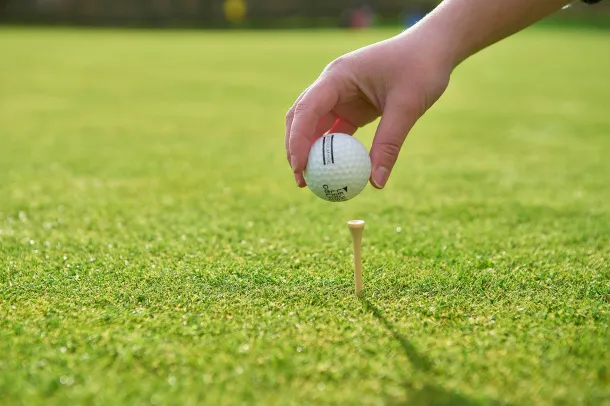 Nyssa Wooden golf tees