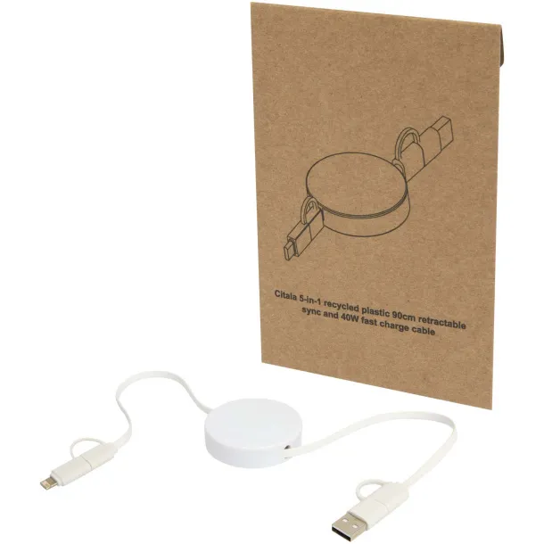 Citala 5-in-1 recycled plastic 90 cm retractable data sync and 40W fast charge cable White