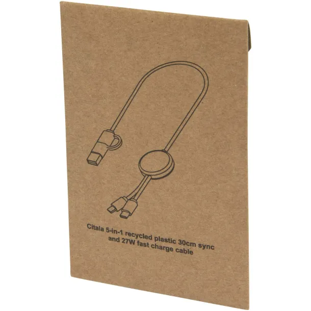 Citala 5-in-1 recycled plastic 30 cm data sync and 27W fast charge cable White