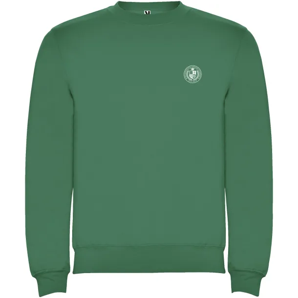 Clasica kids crewneck sweater - Roly Kelly Green