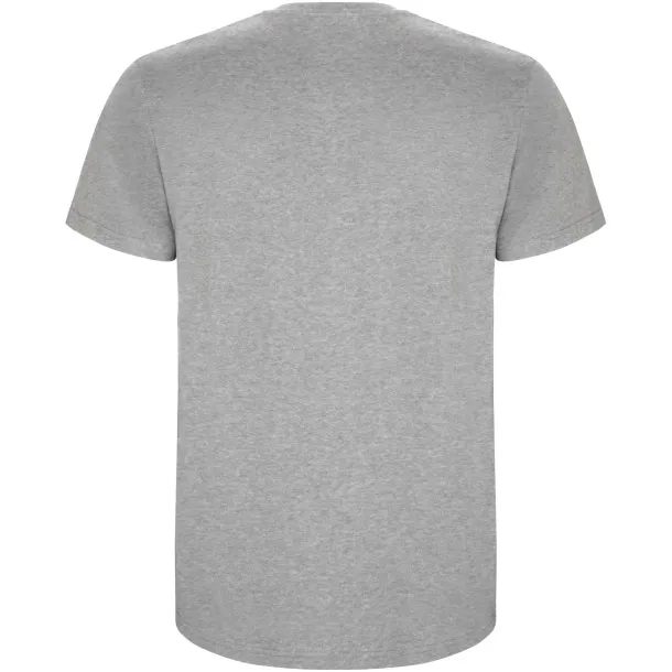 Stafford short sleeve men's t-shirt - Roly Heather grey