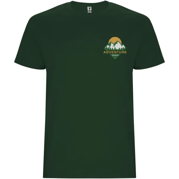 Stafford short sleeve men's t-shirt - Roly Bottle green