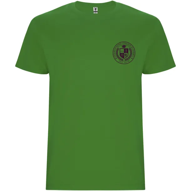 Stafford muška majica kratkih rukava - Roly Grass Green