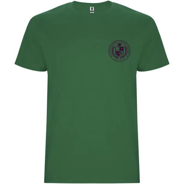 Stafford short sleeve men's t-shirt - Roly Kelly Green