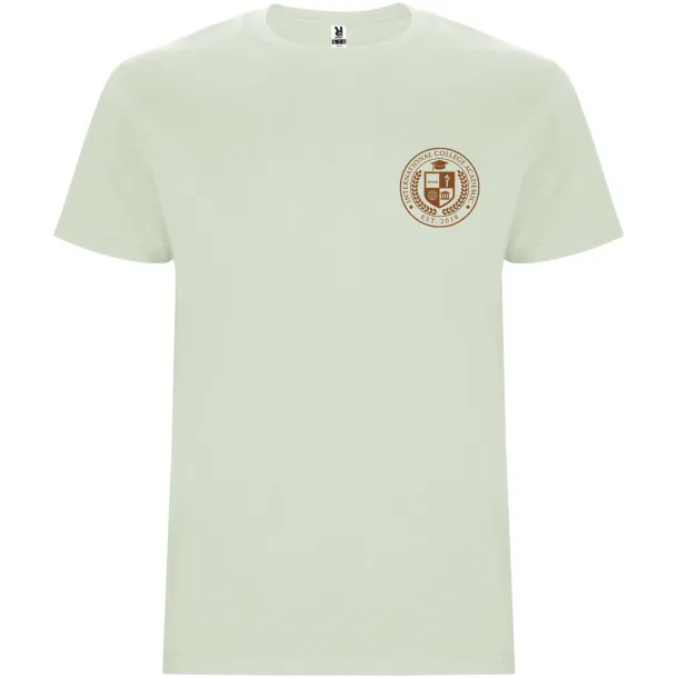 Stafford short sleeve men's t-shirt - Roly Mist Green
