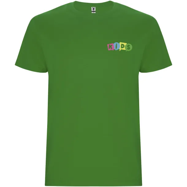 Stafford short sleeve kids t-shirt - Roly Grass Green