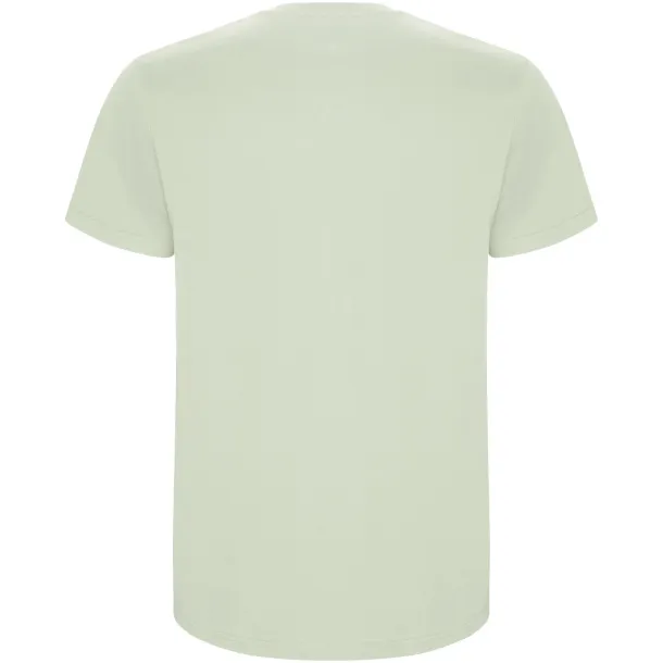 Stafford short sleeve kids t-shirt - Roly Mist Green