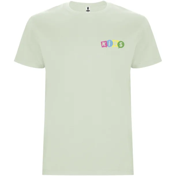 Stafford dječja majica kratkih rukava, 190 g/m² - Roly Mist Green