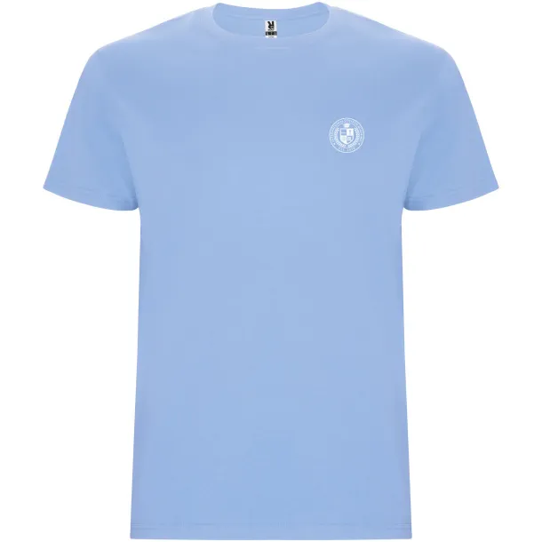Stafford short sleeve kids t-shirt - Roly Sky blue