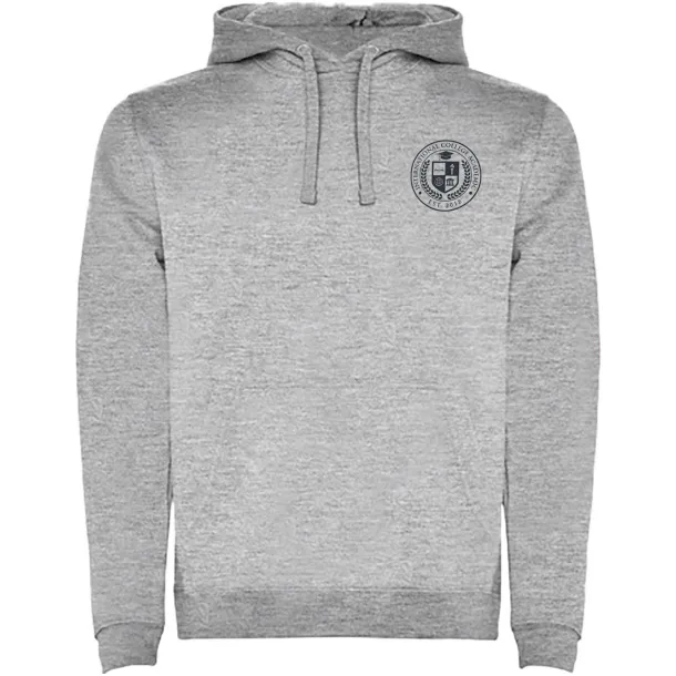 Urban men's hoodie - Roly Heather grey