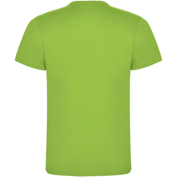 Dogo Premium short sleeve kids t-shirt - Roly Oasis Green