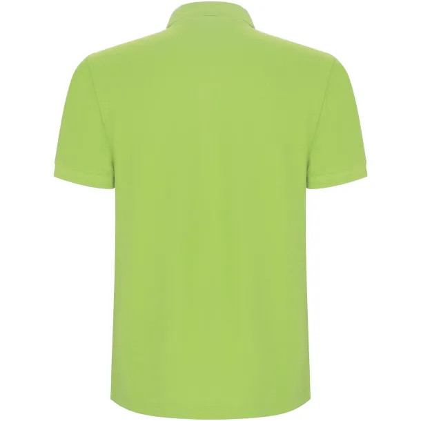 Pegaso Premium short sleeve men's polo - Roly Mantis Green