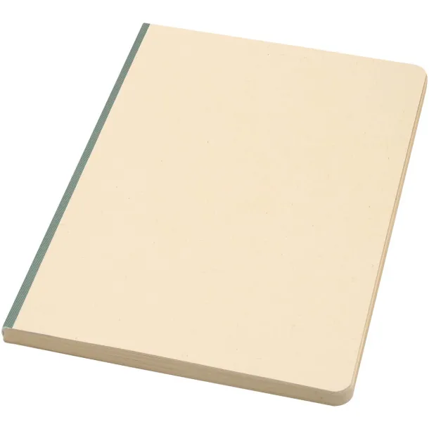 Liliana A5 sugarcane and RPET soft cover notebook Heather green