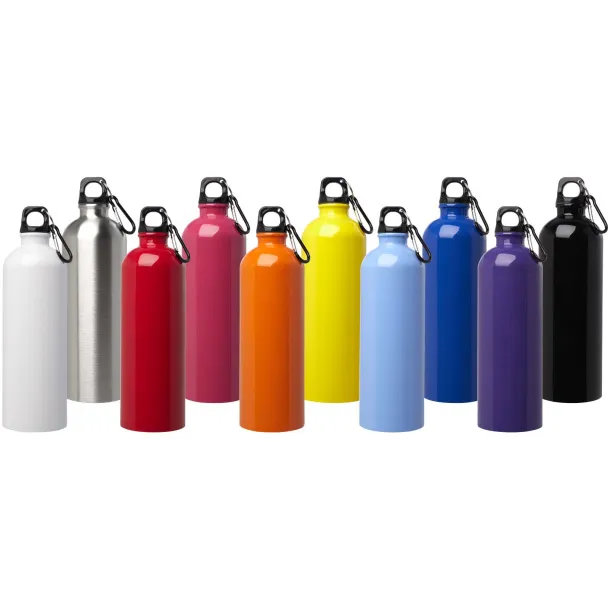Oregon 750 ml RCS certified single wall stainless steel water bottle with carabiner Red