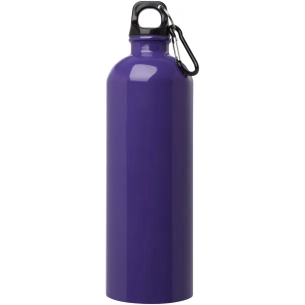 Oregon 750 ml RCS certified single wall stainless steel water bottle with carabiner Purple