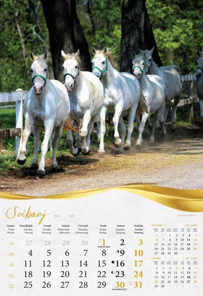  "MOJA ZLATNA SLAVONIJA i BARANJA"  color calendar Color