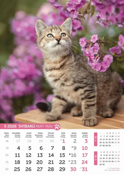  "PSI i MAČKE" color calendar Color