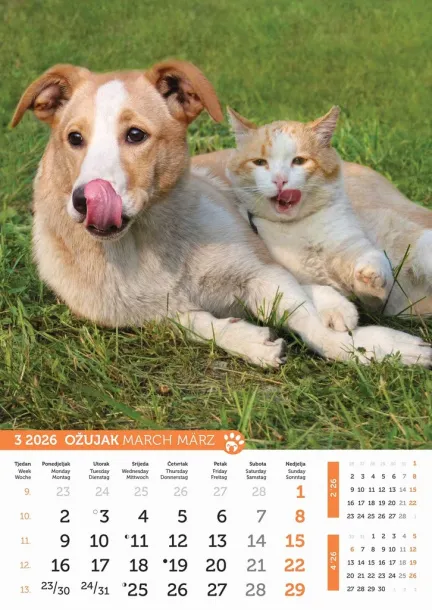  "PSI i MAČKE" color calendar Color
